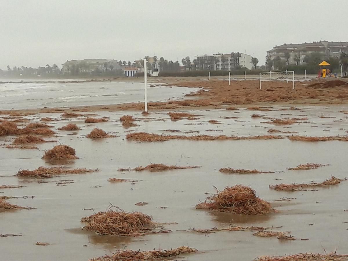 Temporal en Castellón