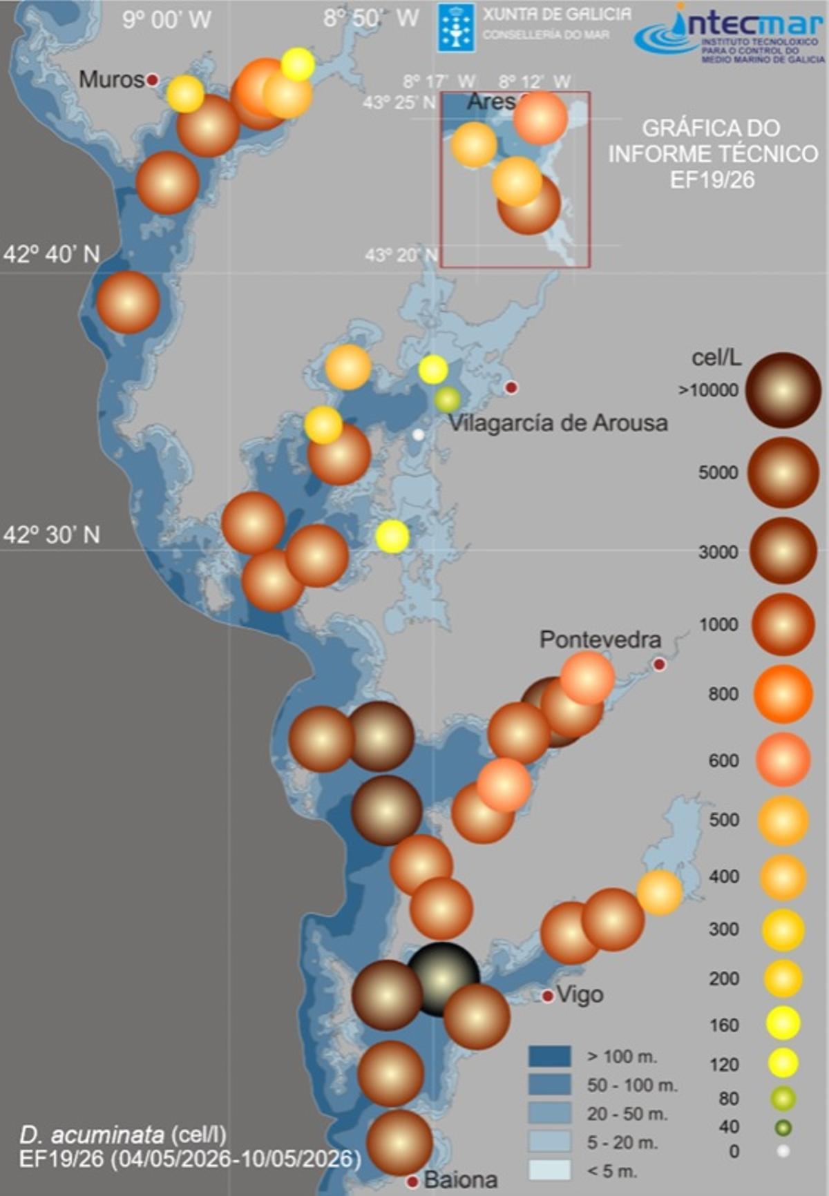 Mapa que muestra la fuerte presencia de los dinoflagelados del género «Dinophysis».