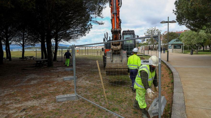 La actuación abarca 65.000 metros cuadrados de superficie y se realizará por cuadrículas, comenzando en el pinar de A Concha.