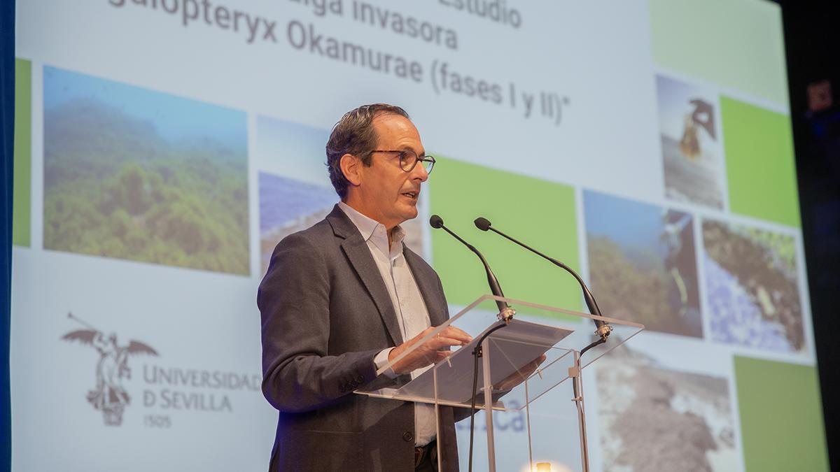 Jorge Juan Jiménez Luna, Delegat Regional Sud de Red Elèctrica.