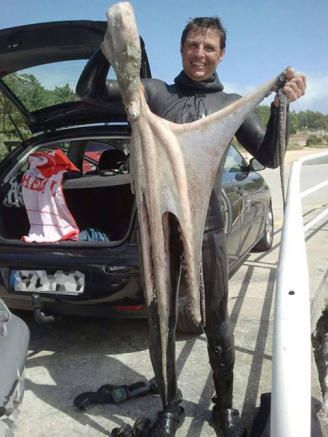 Pulpos colosales salen a flote en las Rías Baixas