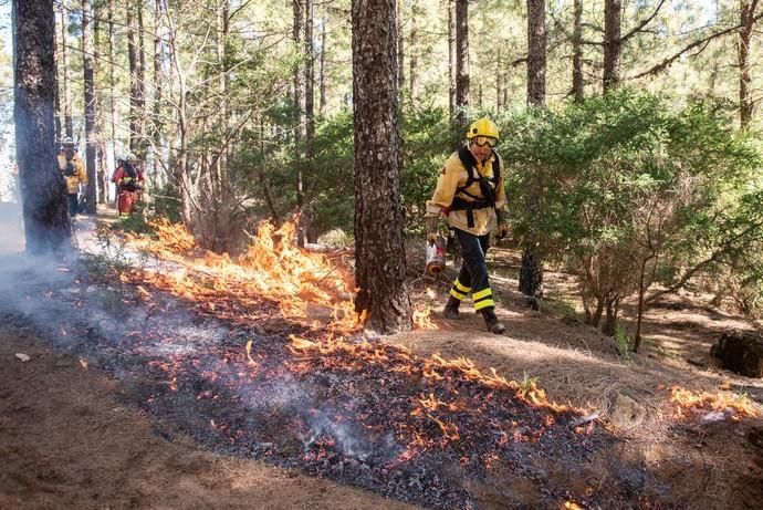 La UME realiza prácticas de prevención de incendios en Gran Canaria