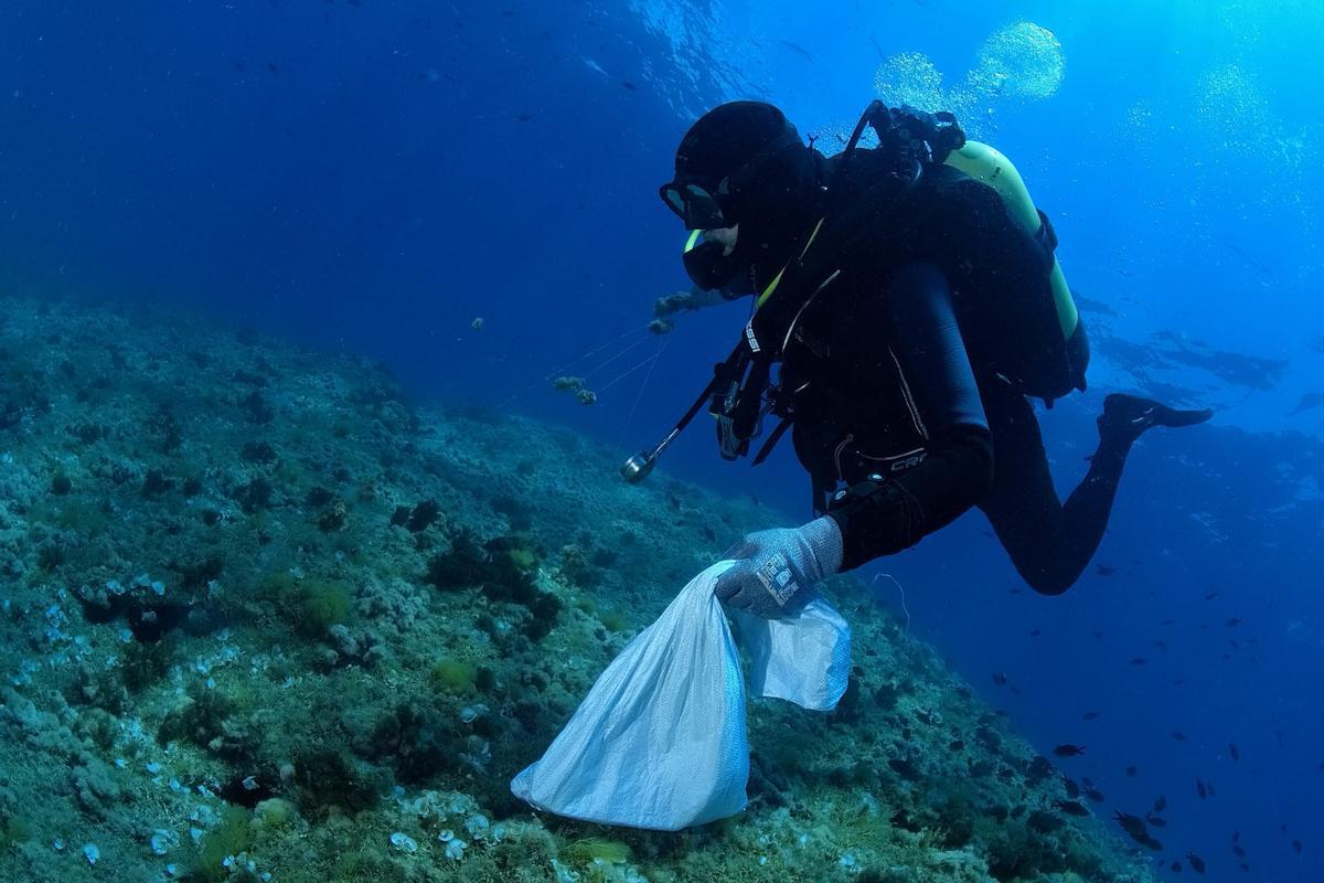 Más de 500 voluntarios limpian los fondos marinos de la Región