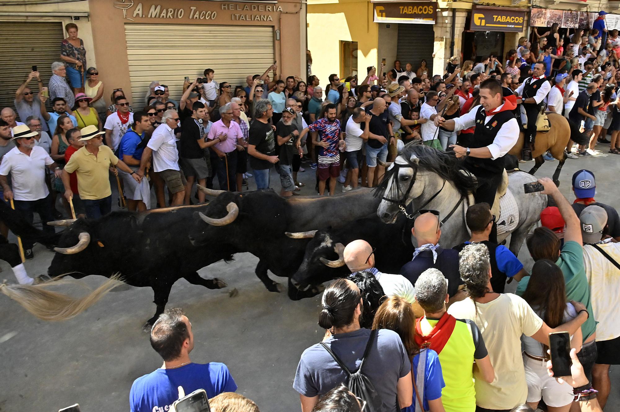 Fotos de ambiente y de la segunda Entrada de Toros y Caballos de Segorbe