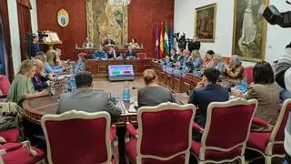 La oposición tumba en la Diputación de Córdoba la propuesta de la subida de la tasa de la basura presentada por el PP