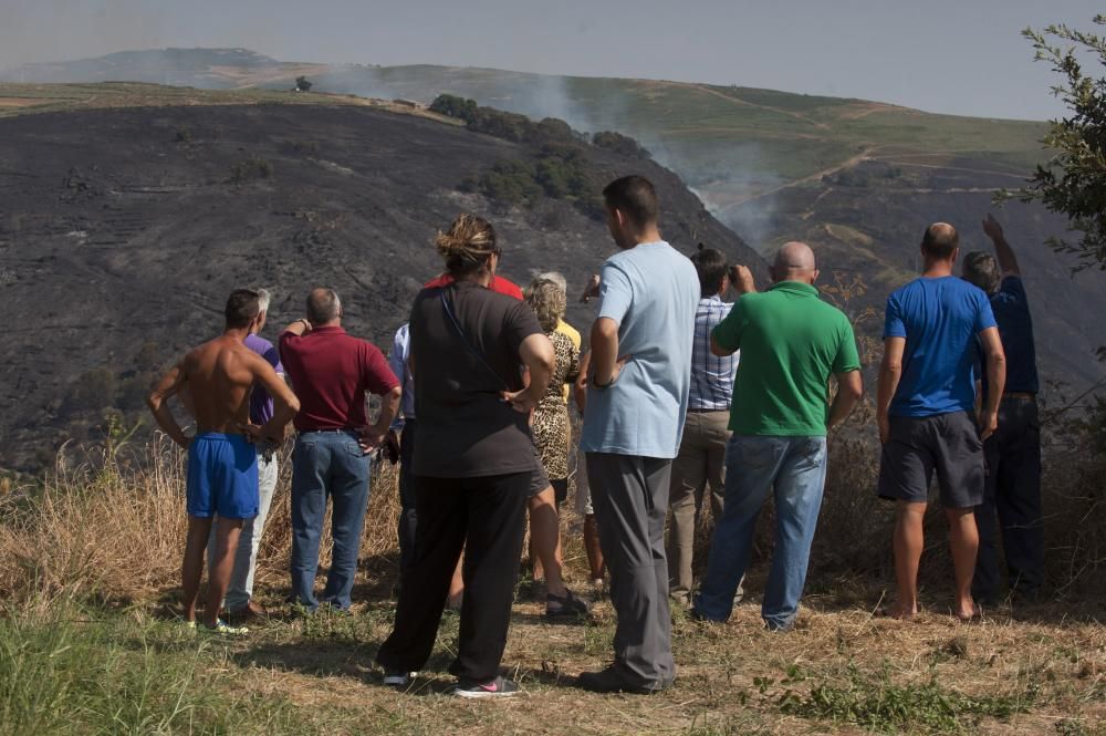 La oleada de incendios azota Ourense - La conselleira de Medio Rural denuncia la elevada actividad incendiaria de este fin de semana, con más de 20 focos en la provincia. El fuego de Trives, con 164 h