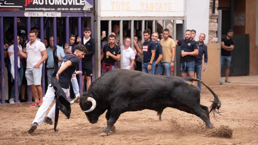 Un cumplidor Torrehandilla y un flojo Chamaco pasan página a los toros del encierro en Almassora