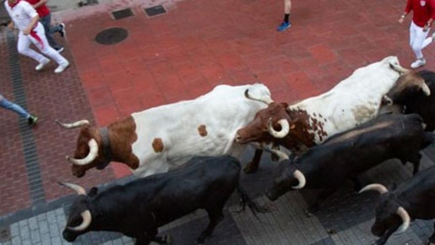 El Tarcyl frenó a una empresa que pidió paralizar los festejos taurinos en el Toro en Benavente