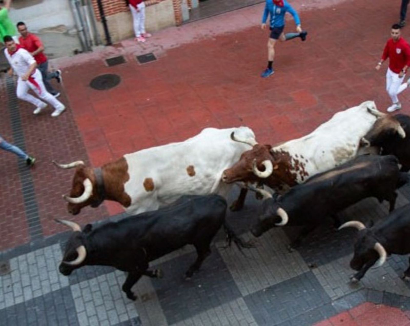 Uno de los encierros de novillos de las pasadas fiestas del Toro Enmaromado de Benavente.