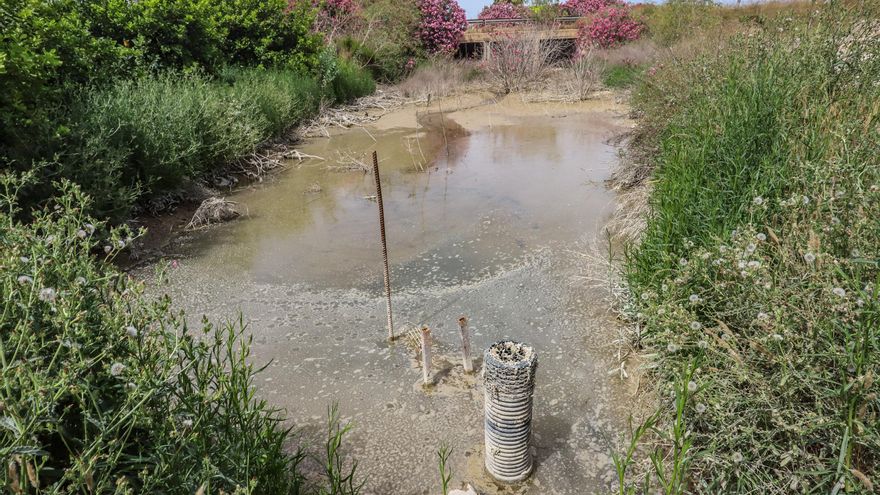 El agua de drenajes agrícolas con fertilizantes del Campo de Salinas desborda las fincas y llega a la laguna de Torrevieja