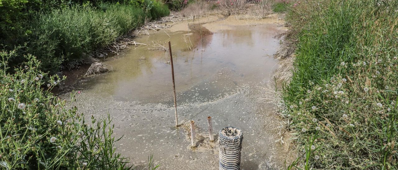 El agua de drenajes agrícolas con fertilizantes del Campo de Salinas desborda las fincas y llega a la laguna de Torrevieja