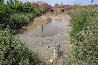 El agua de drenajes agrícolas con fertilizantes del Campo de Salinas desborda las fincas y llega a la laguna de Torrevieja