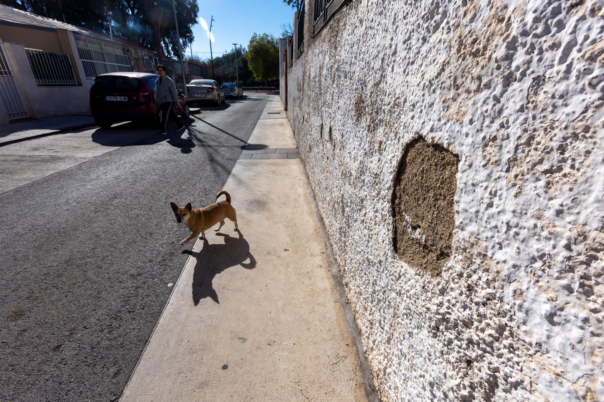 Divina Pastora, un barrio olvidado