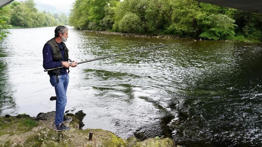 La pesca del salmón, más cerca de ser prohibida en Asturias: los científicos dictaminan que la especie está en peligro de extinción