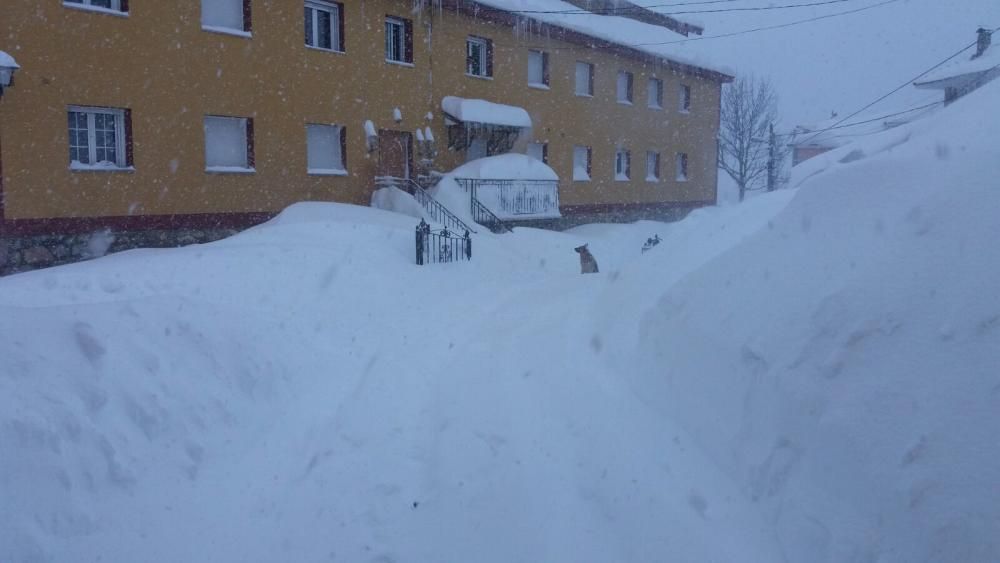 Así luce Somiedo bajo un manto de nieve