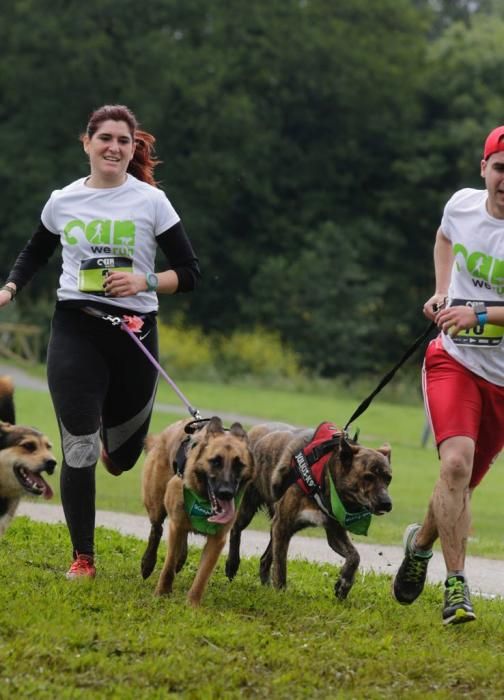 "Can We Run" reúne a más de 400 perros y corredores en el Parque Fluvial de Viesques, en Gijón.