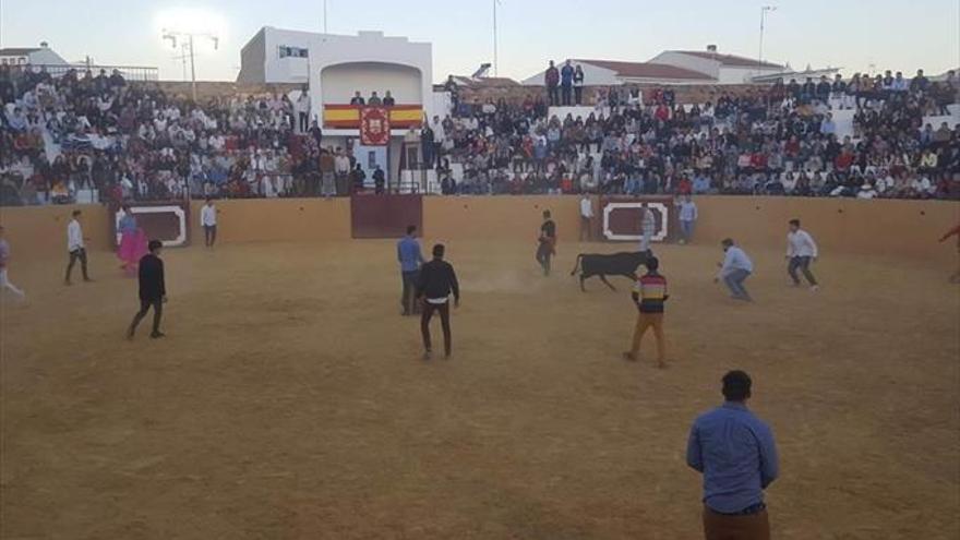 Masiva afluencia de público en las fiestas