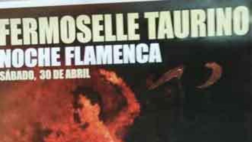 Cartel de la Noche Flamenca.