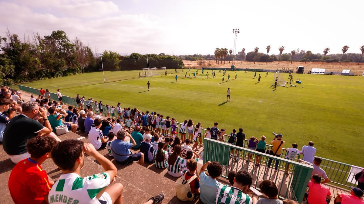 Hay ganas de Córdoba CF: casi 300 aficionados copan las gradas de la Ciudad Deportiva