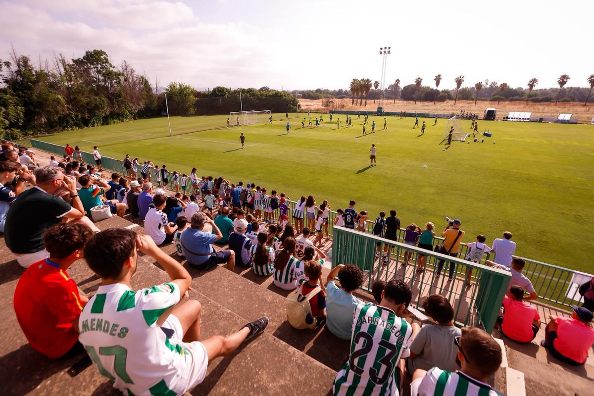 Cientos de aficionados asisten al tercer entrenamiento del Córdoba CF