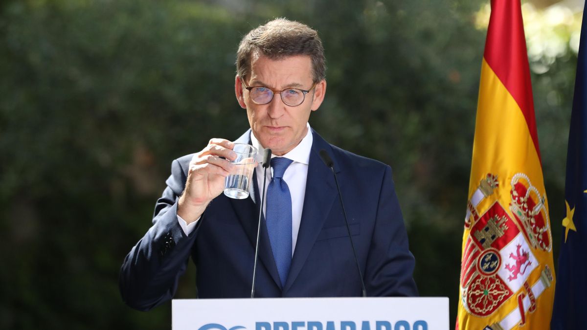 El presidente del PP, Alberto Núñez Feijóo.