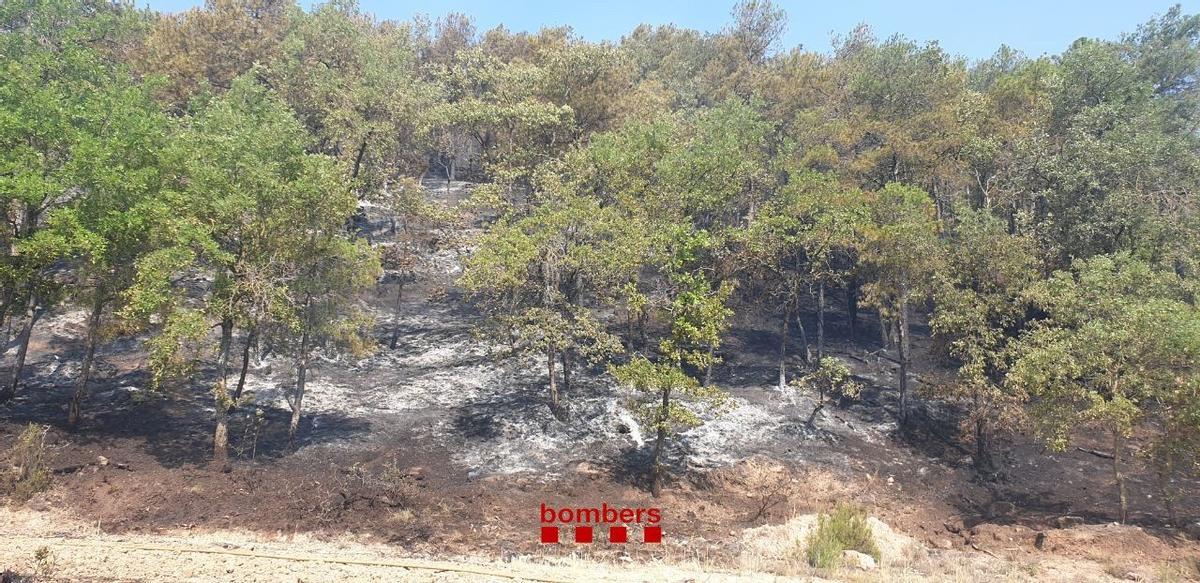El incendio de Castellar de la Ribera (Lleida) ha quemado 0,95 hectáreas
