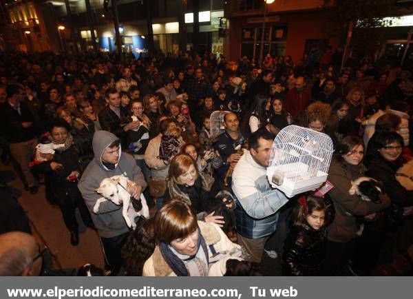 GALERÍA DE FOTOS - Vila-real celebró su tradicional ‘Matxà’