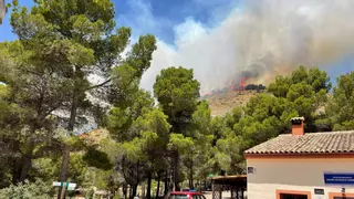 El incendio forestal de Ibi sorprende a trabajadores de la UA