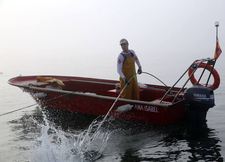 Libre marisqueo O Grove