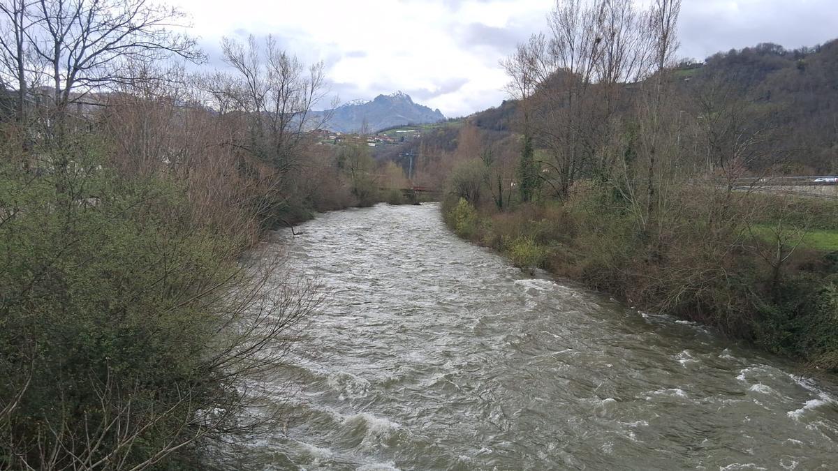 El río Nalón, este domingo.