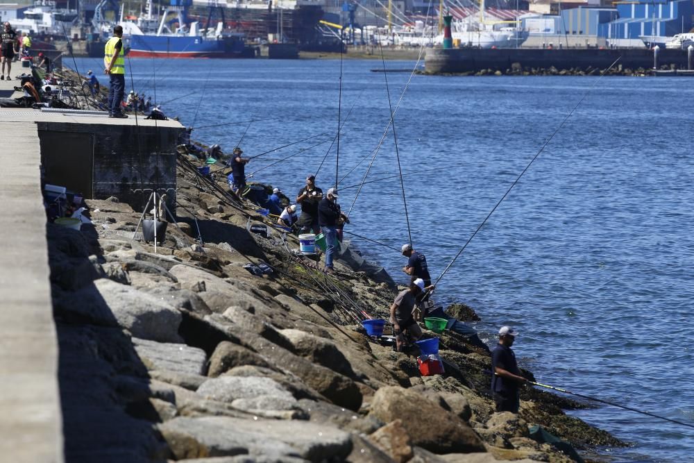 Los pescadores de caña baten récords de capturas en Vigo