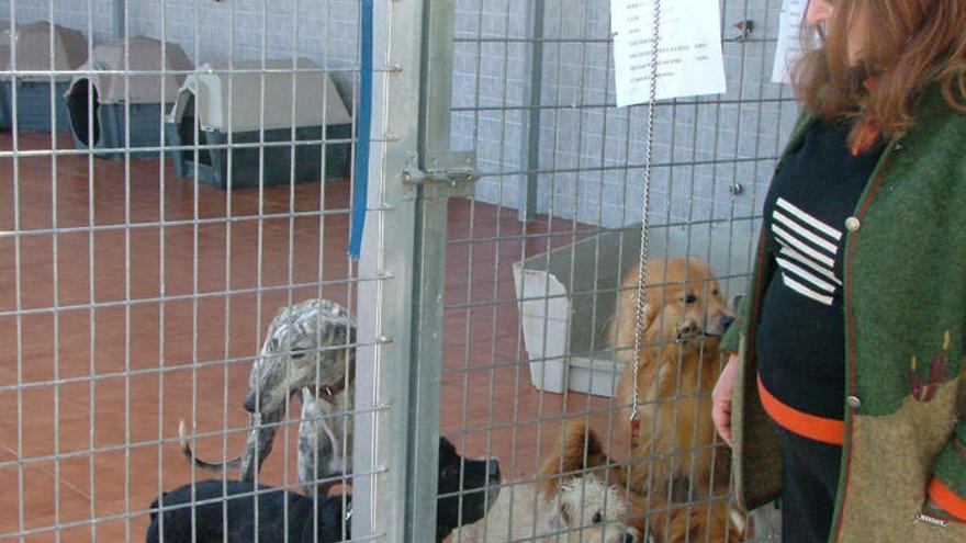 La Fiscalía pide el ingreso en prisión de la exdueña de Parque Animal