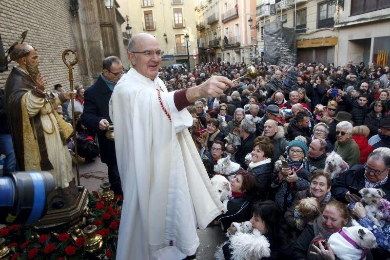 Celebración de San Antón, bendición de los animales