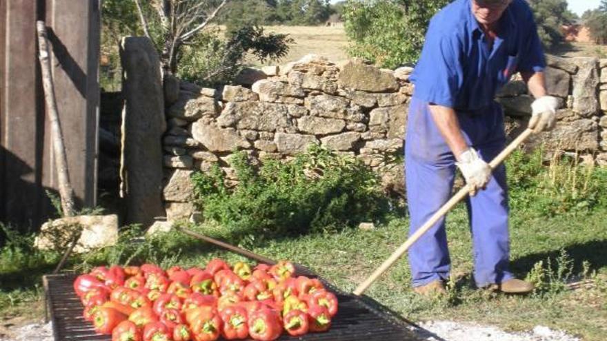 Antonio Garrote, derecha, y Aníbal Fernández posan con dos de las grandes calabazas cultivadas en Cibanal.