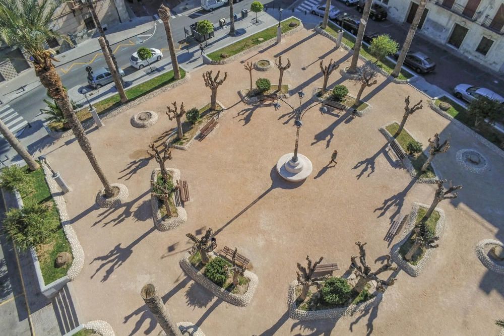 El área de Infraestructuras del Ayuntamiento de Orihuela retira desde hoy 23 troncos y tocones de las palmeras de la plaza de Santa Lucía. Un auténtico "monumento al picudo" en los últimos meses. Toda