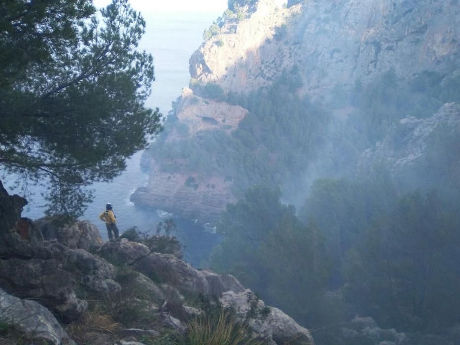 Waldbrand bei Cala Tuent am Mittwoch, 23. November 2016