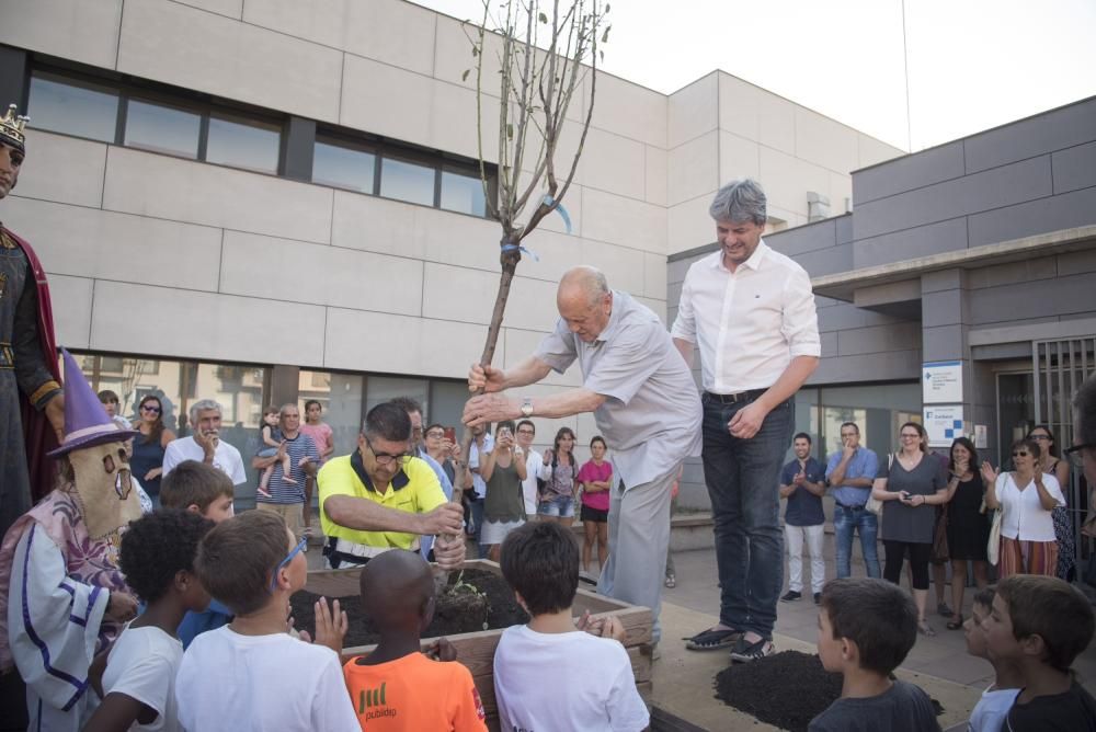 14a Festa de l'Arbre Fruiter de Moià