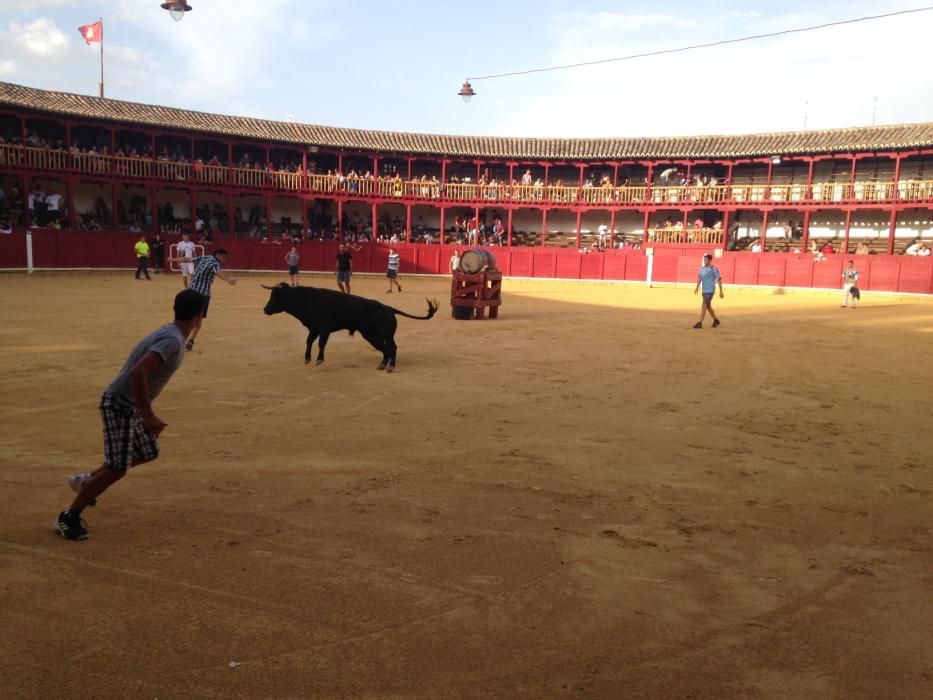 Fiestas Toro- concurso de jóvenes cortadores