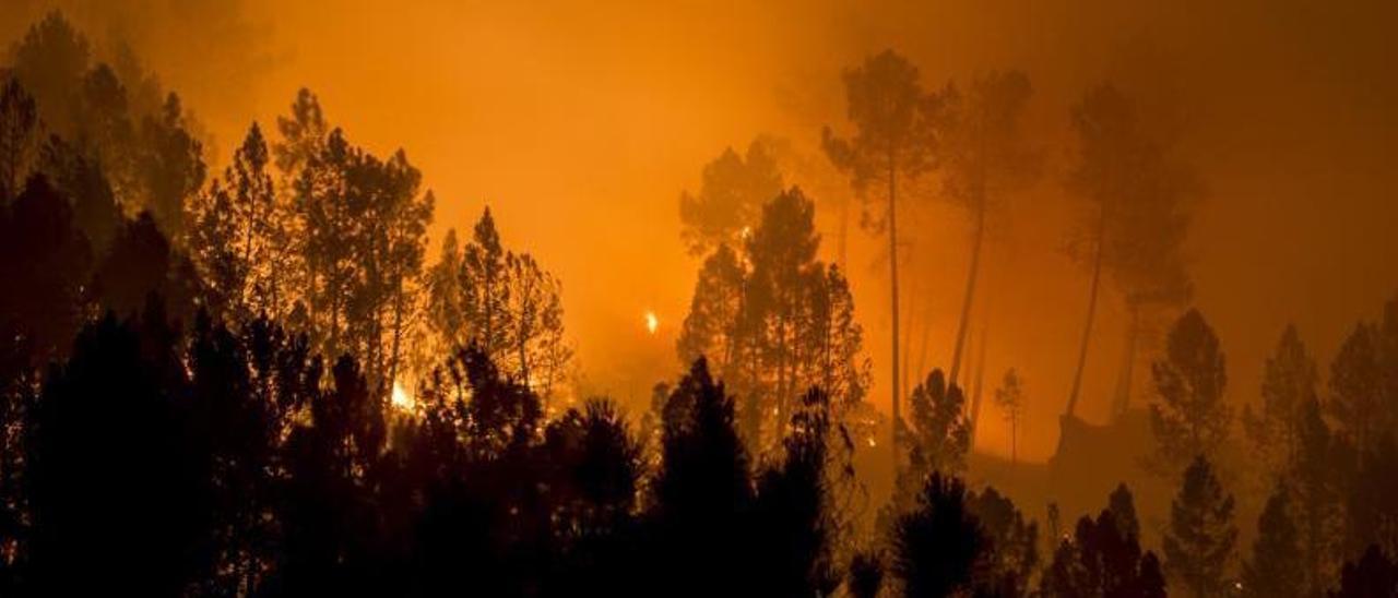 Un incendio forestal en el Xurés.