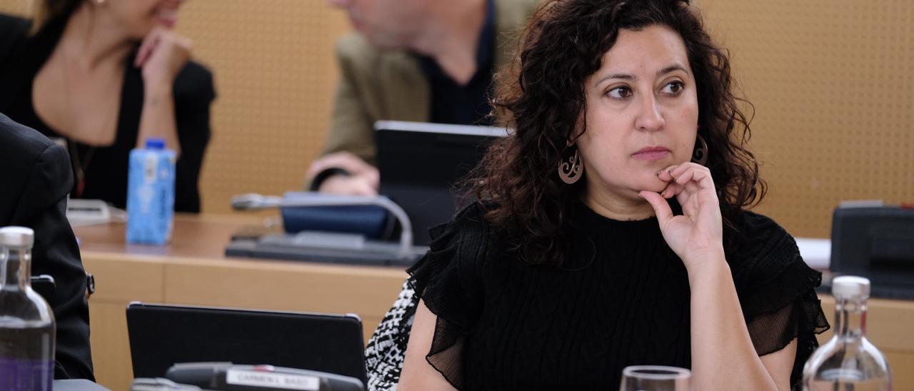 Consejera de Empleo, Desarrollo Socioeconómico y Acción Exterior, Carmen Luz Baso