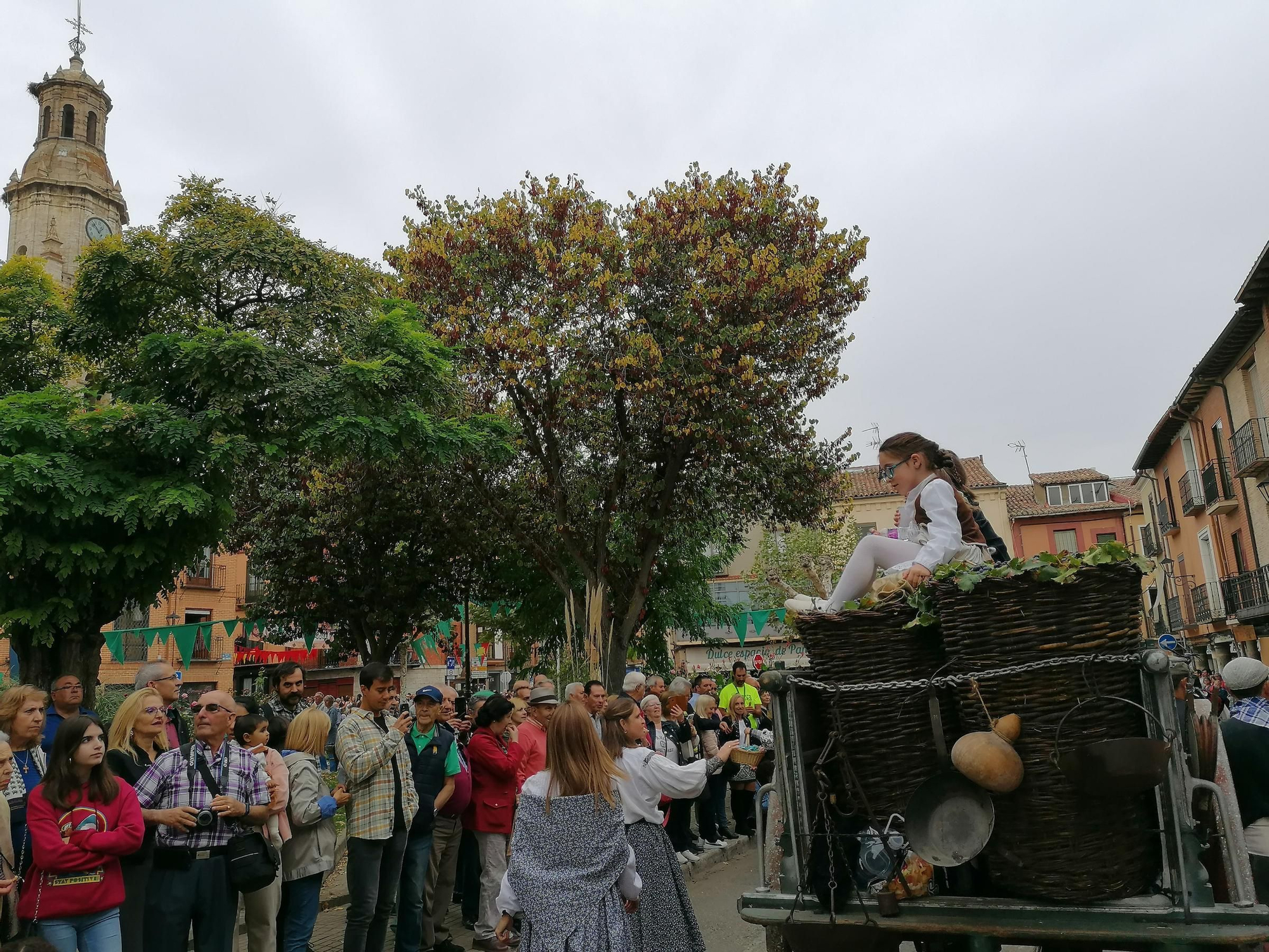 GALERÍA | Toro recrea la vendimia tradicional en el desfile de carros