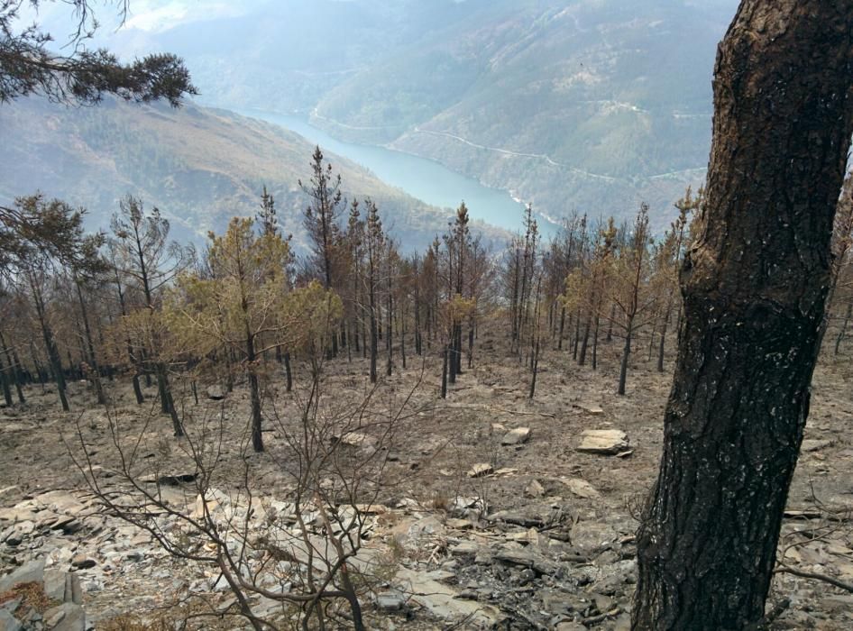 Incendio en Grandas de Salime