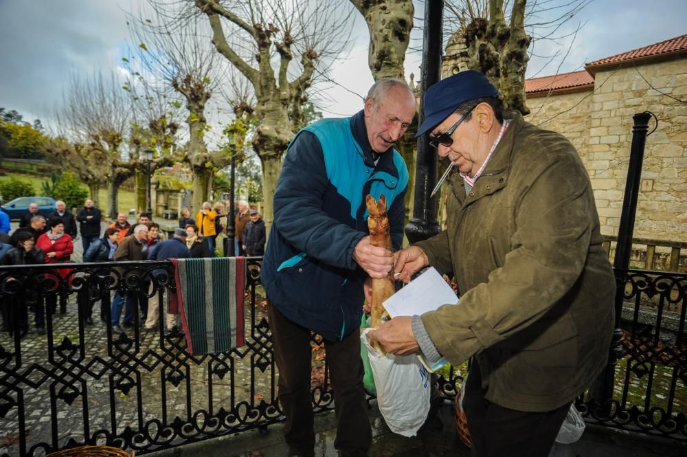 La "procesión de los lacones"