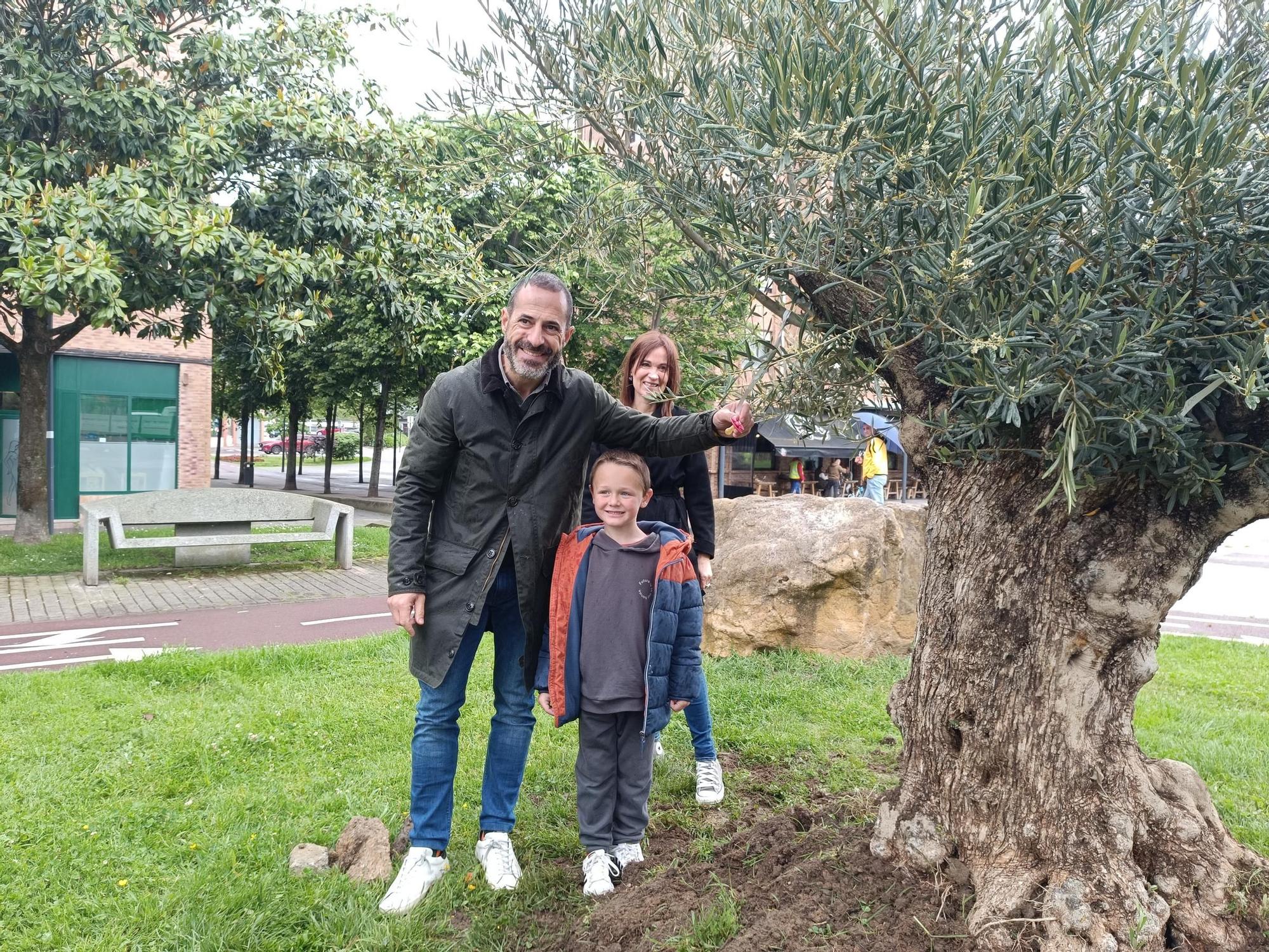 Así fue la instalación del árbol de los chupetes en Lugones, Siero