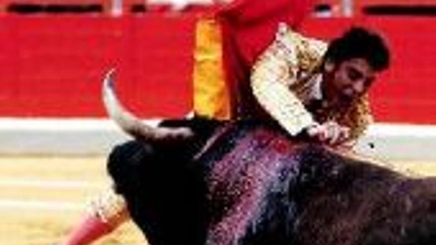 Tarde de triunfos y cornada