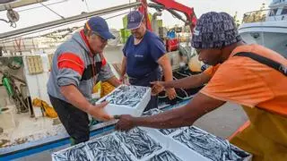 Alicante concentra el 65% de la facturación de la pesca de la Comunidad pese a perder 18 barcos desde 2016