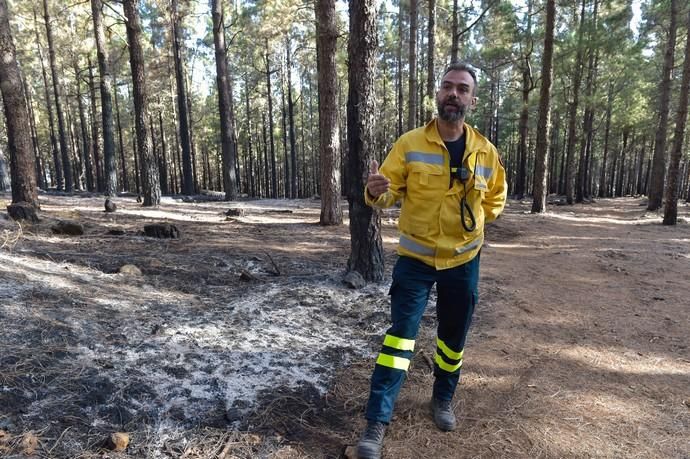 Quemas prescritas por el Cabildo de Gran Canaria