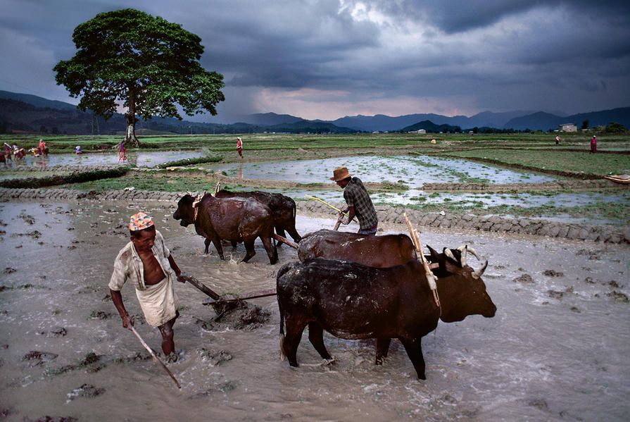 Nepal