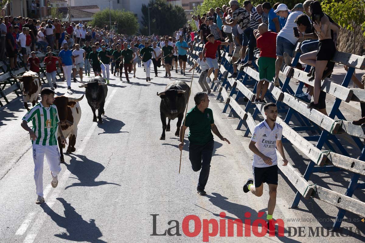 Tercer encierro Feria del Arroz en Calasparra