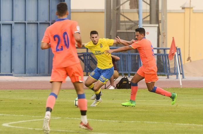 PARTIDILLO UDLP- UDLP C